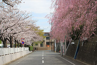 写真01