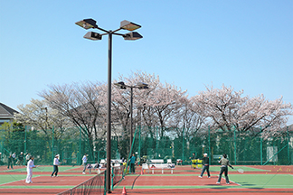 写真02