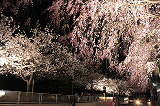 写真04
