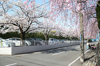 写真06