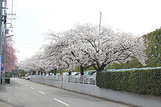 写真07
