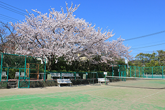 写真08